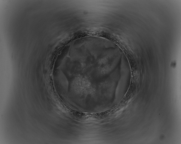 X0000102350913200808081151