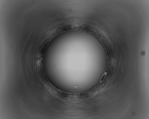 X0000102350914200808081151