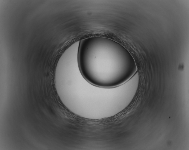 X0000102350916200808081151