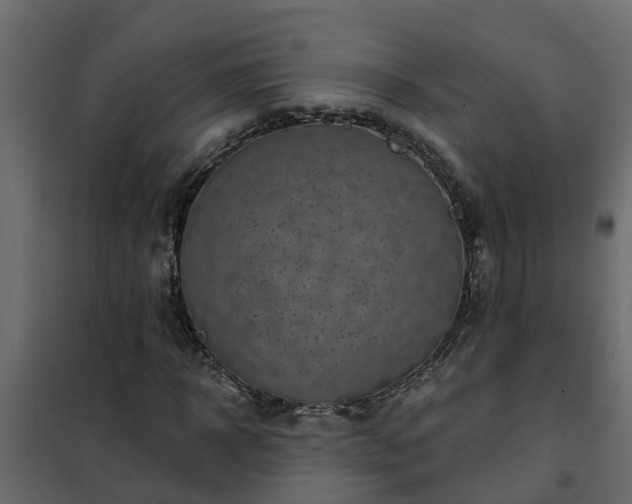 X0000102350918200808081151