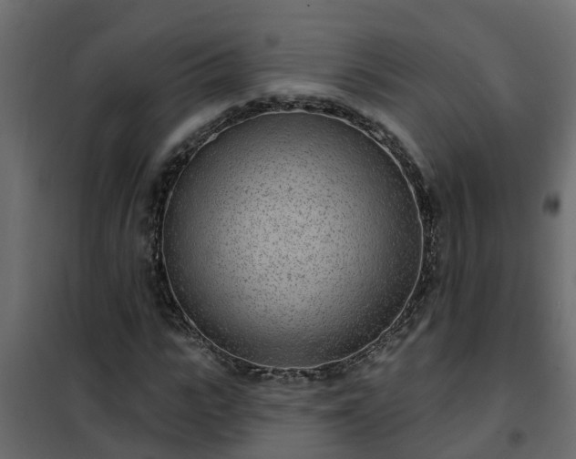 X0000102350919200808081151