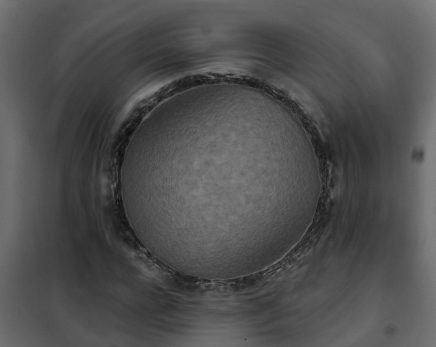 X0000102350920200808081151