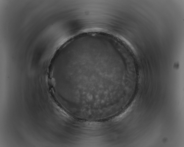 X0000102350921200808081151