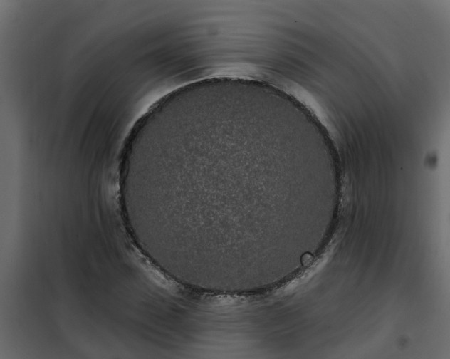 X0000102350923200808081151