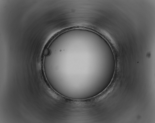 X0000102350924200808081151