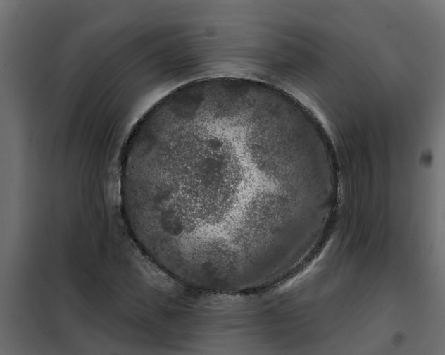 X0000102350925200808081151