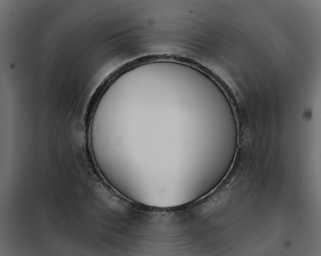 X0000102350927200808081151