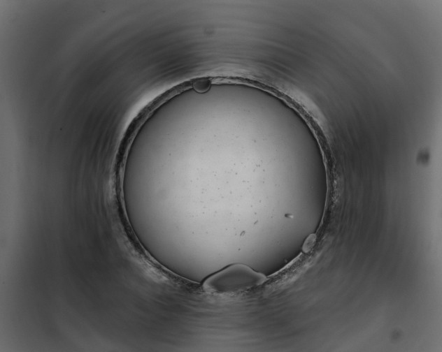 X0000102350928200808081151