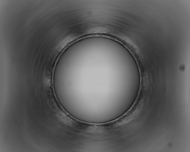 X0000102350929200808081151