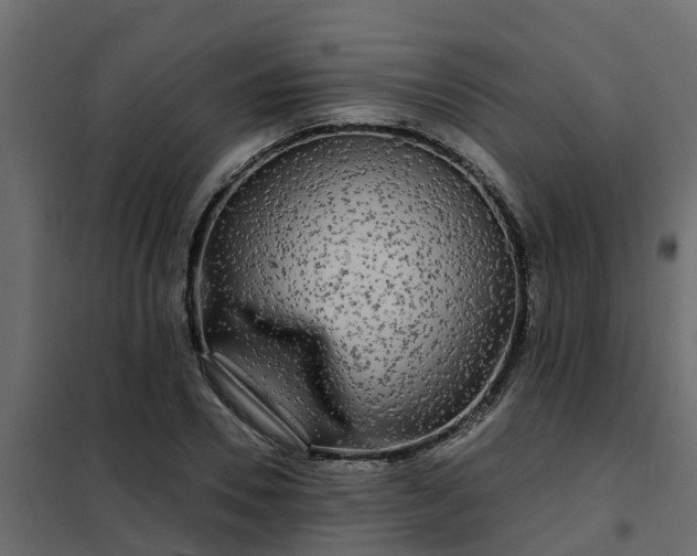 X0000102350930200808081151