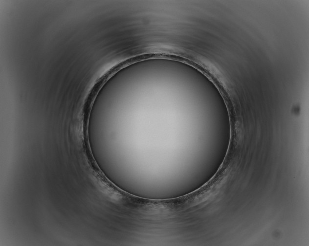 X0000102350931200808081151