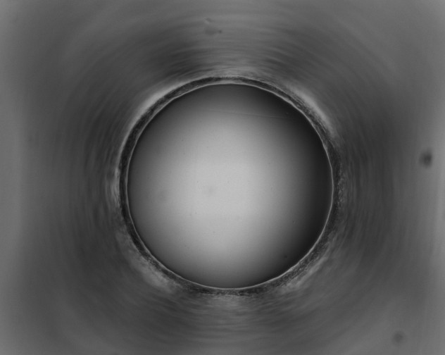 X0000102350932200808081151