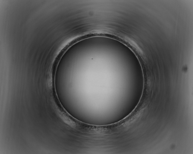 X0000102350934200808081151