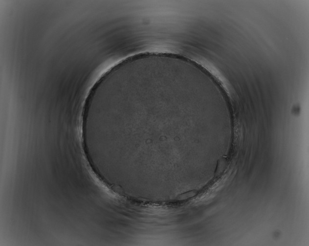 X0000102350935200808081151