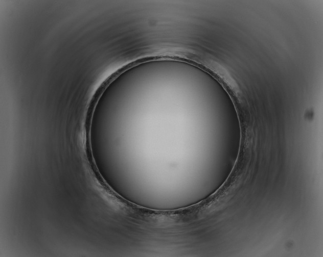 X0000102350936200808081151