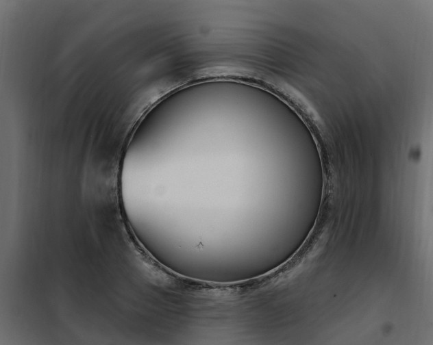 X0000102350937200808081151