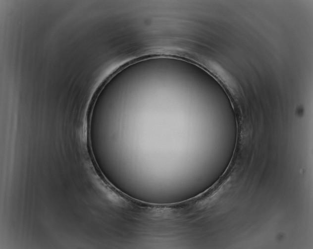 X0000102350940200808081151