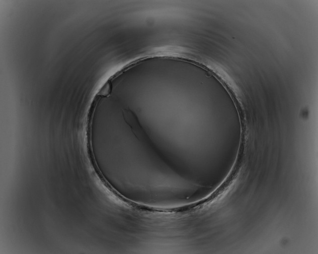 X0000102350941200808081151