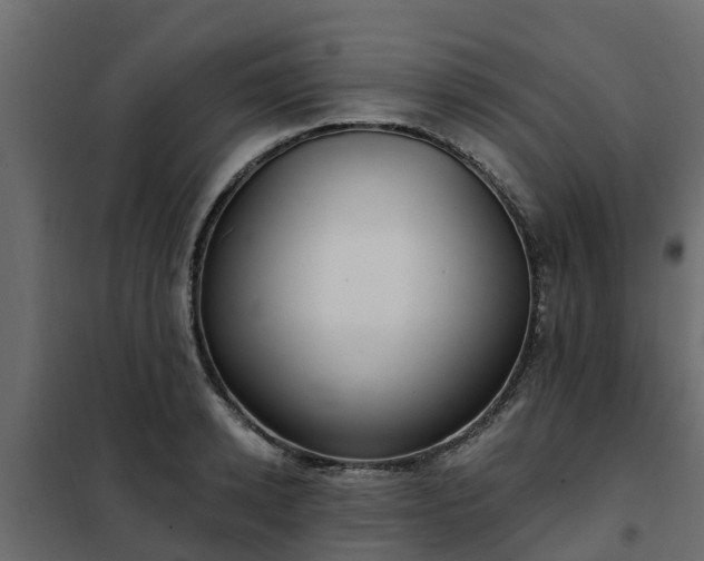 X0000102350942200808081151