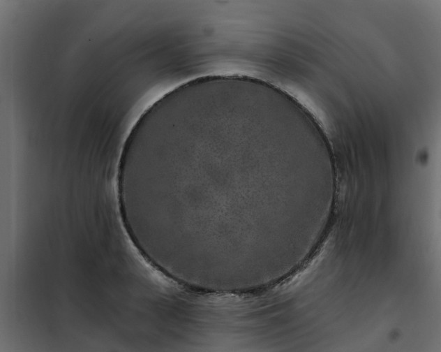 X0000102350943200808081151