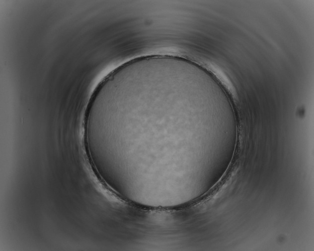 X0000102350944200808081151