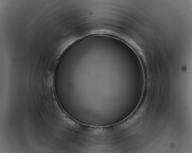 X0000102350945200808081151