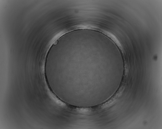 X0000102350946200808081151