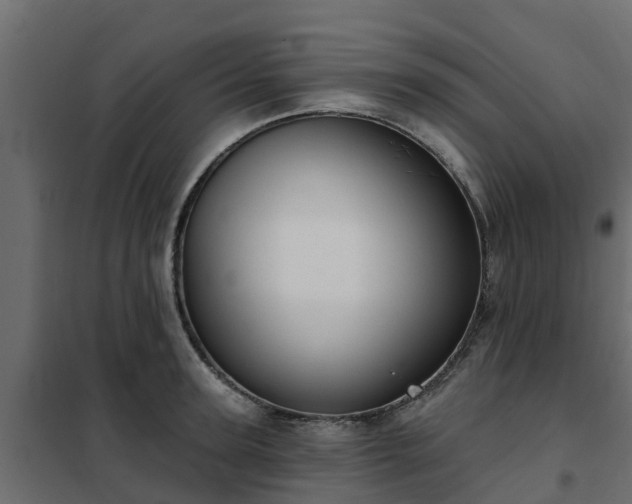 X0000102350947200808081151