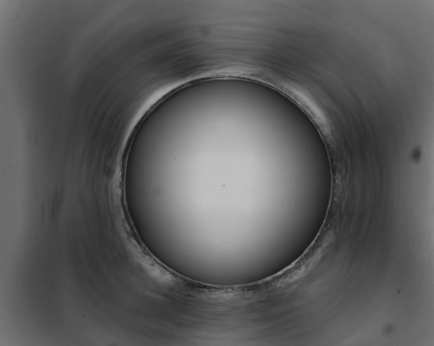 X0000102350948200808081151