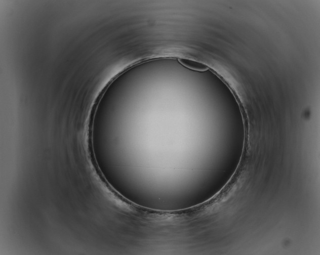 X0000102350949200808081151