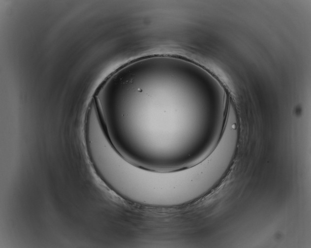 X0000102350950200808081151