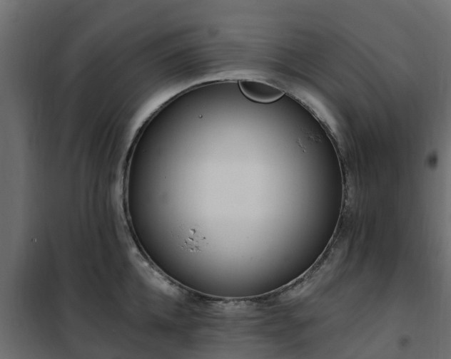 X0000102350952200808081151