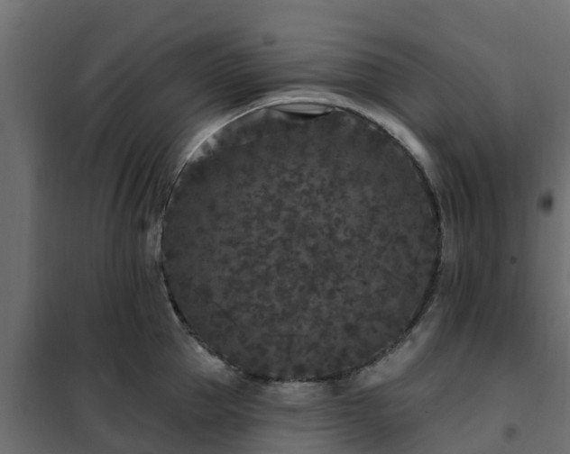 X0000102350953200808081151