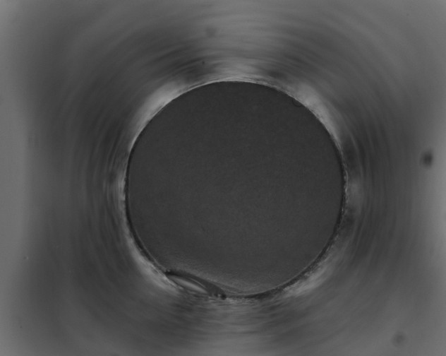 X0000102350954200808081151