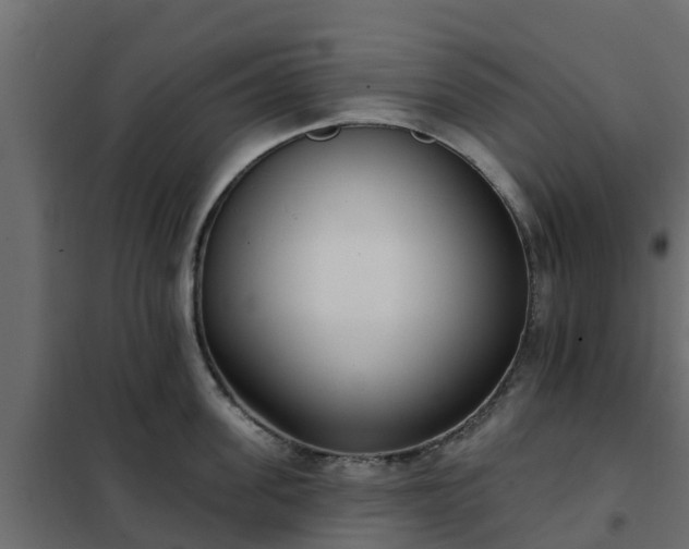 X0000102350955200808081151