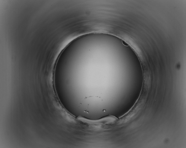 X0000102350956200808081151