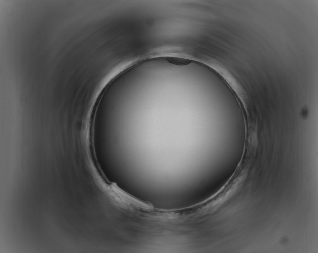 X0000102350957200808081151