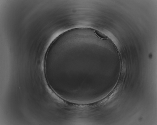 X0000102350958200808081151