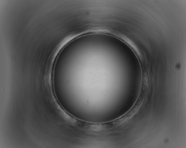 X0000102350959200808081151