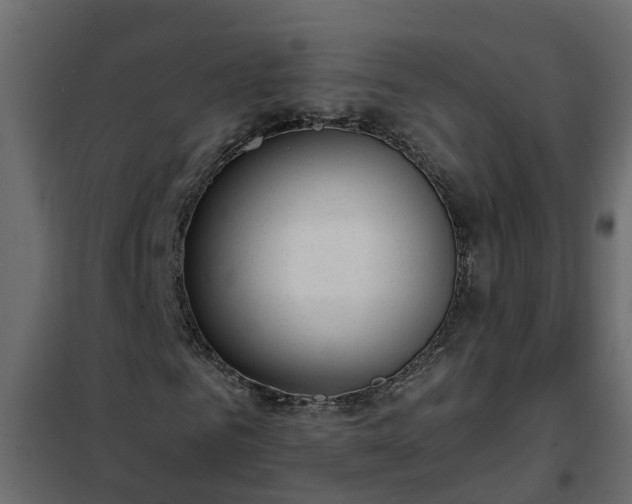 X0000102350961200808081151