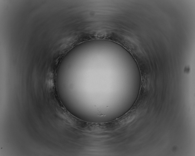 X0000102350962200808081151