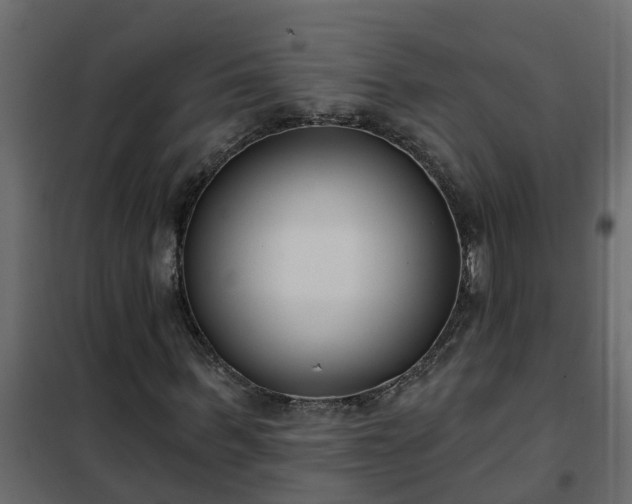 X0000102350963200808081151