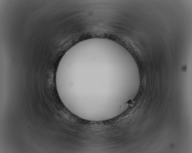 X0000102350964200808081151