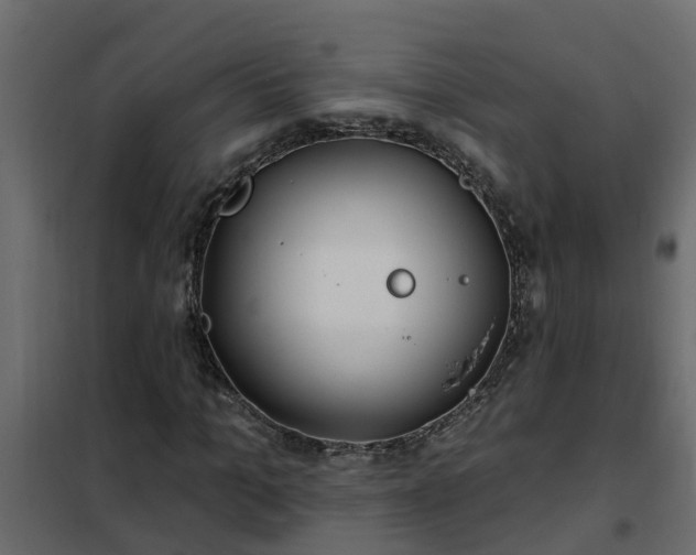 X0000102350965200808081151