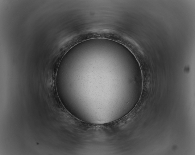 X0000102350966200808081151