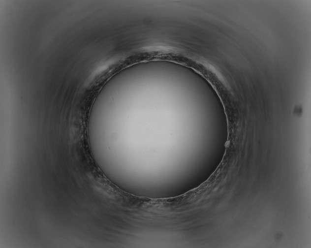 X0000102350967200808081151