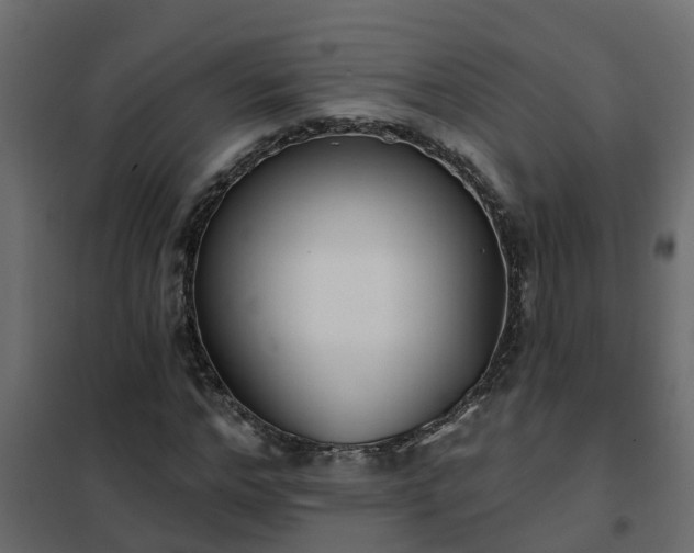 X0000102350968200808081151