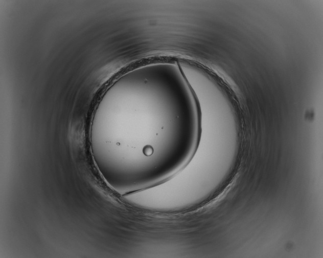 X0000102350969200808081150