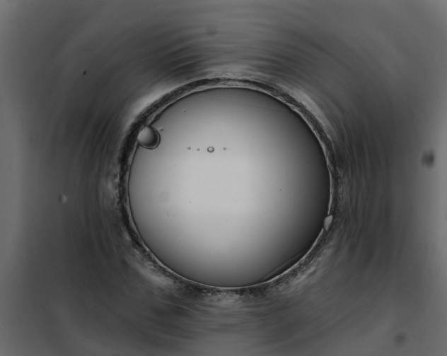 X0000102350971200808081150