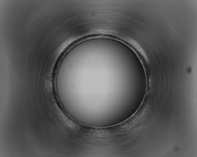 X0000102350972200808081150